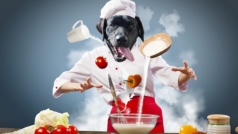 dog-chef