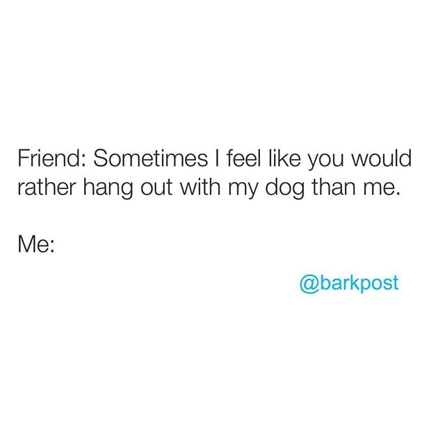 dogpeopledogsoverfriends