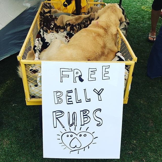 free-bellyrubs