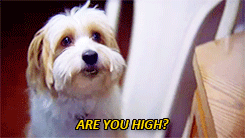 high
