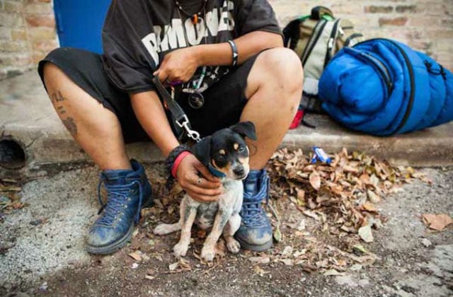 homeless-and-dogs12