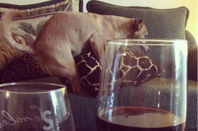 nohumpingatthedinnertableplease