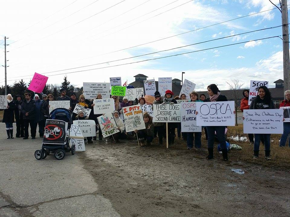 Chatham Dog Protest