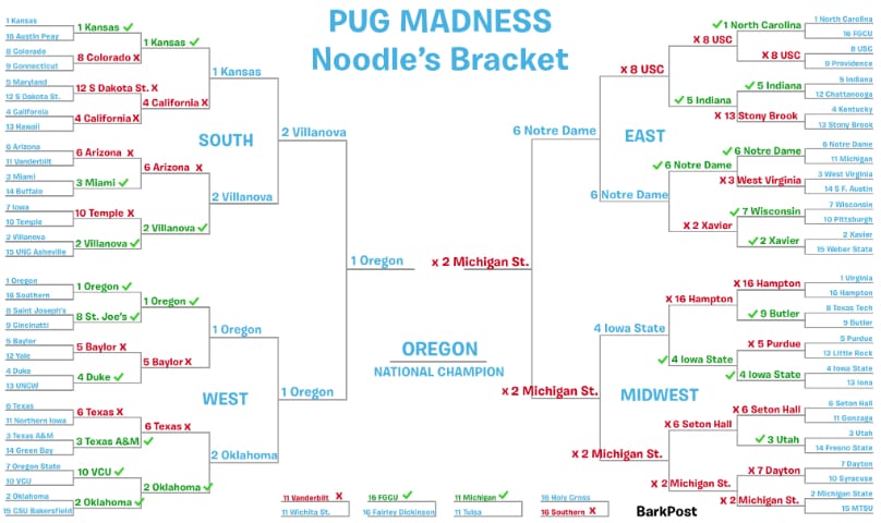 pug madness after w1