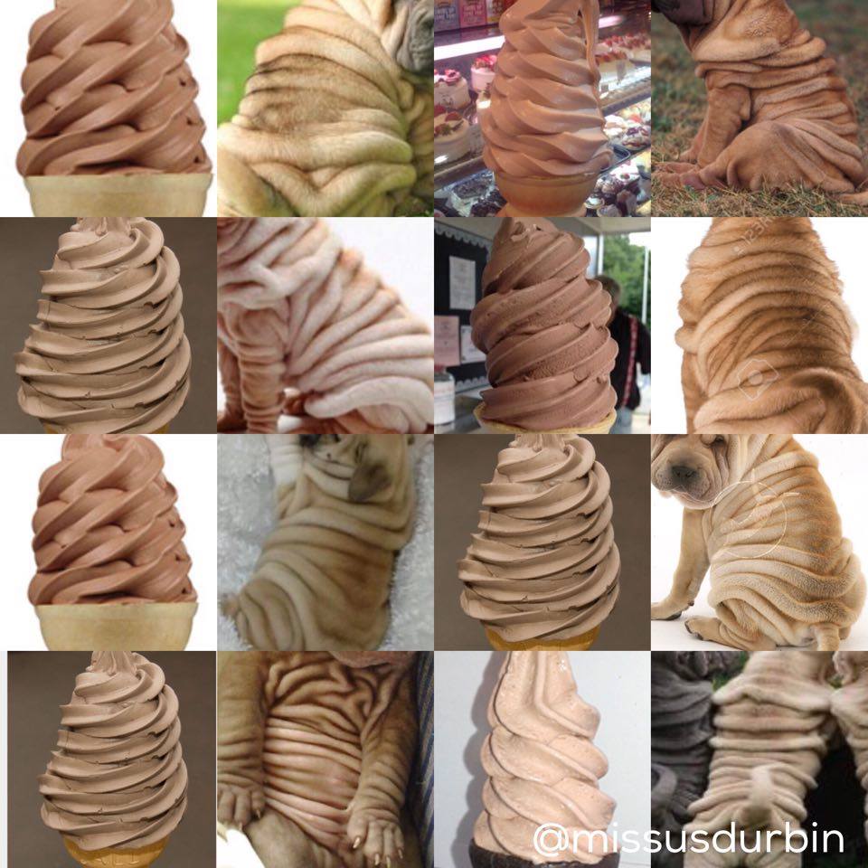 shar pei ice cream cone