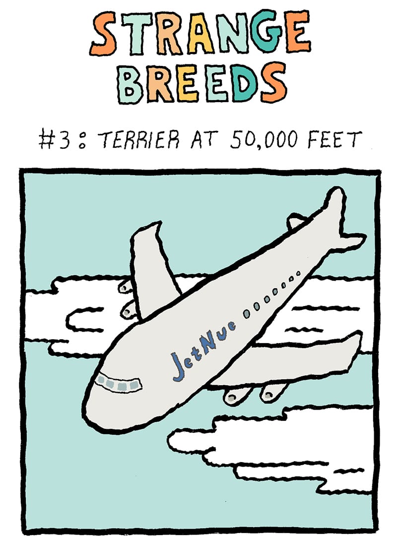strange-breeds-3-1