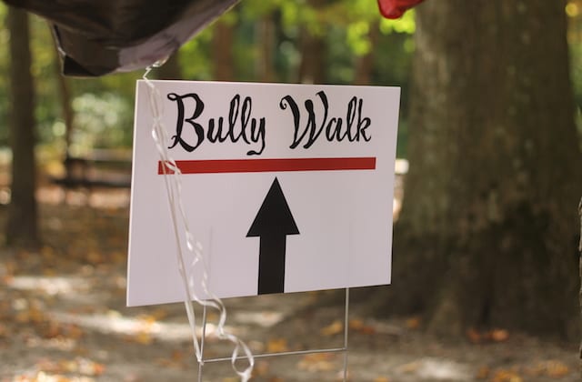 Bully Walk