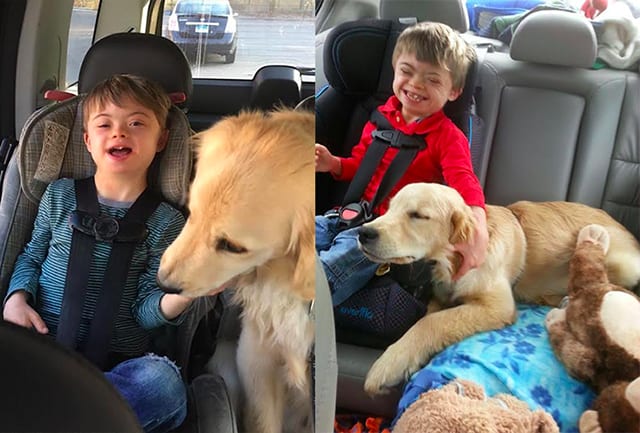 Jonathan and service dog in car together