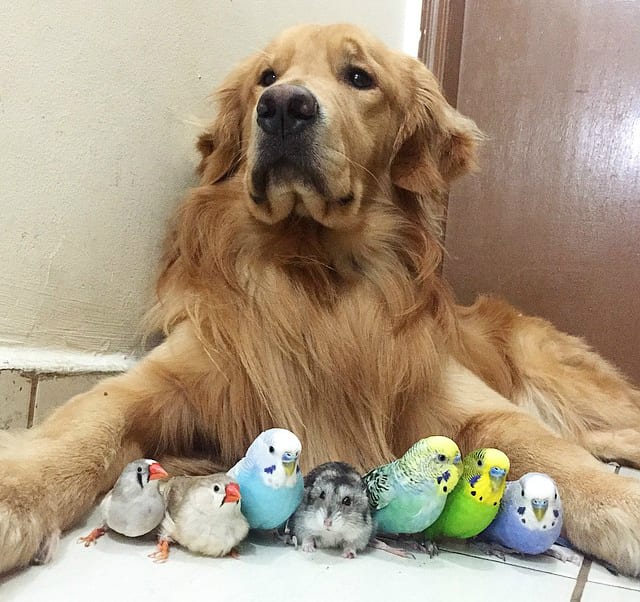 Bob and his friends
