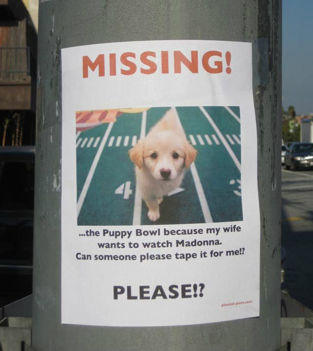 Missing-the-Puppy-Bowl