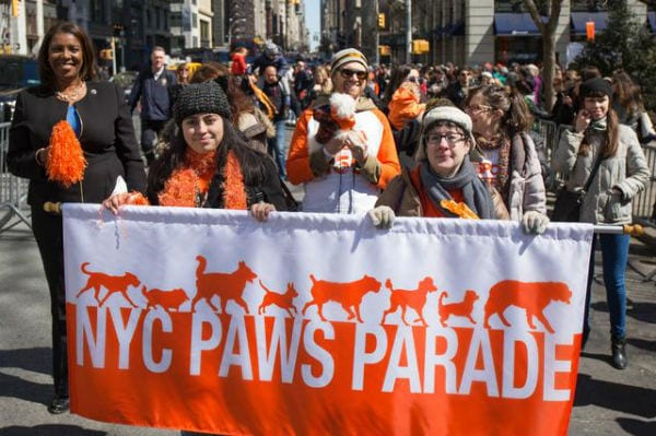 Paws Parade