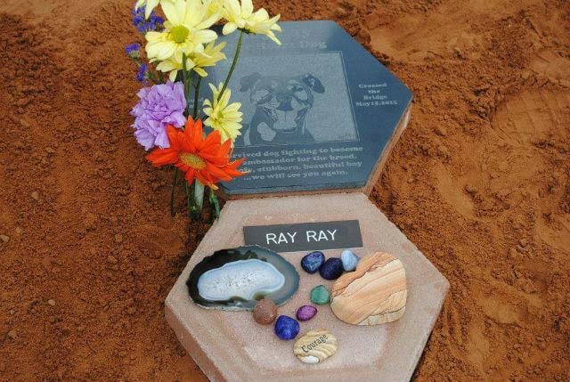 Ray the vicktory dog memorial plaque