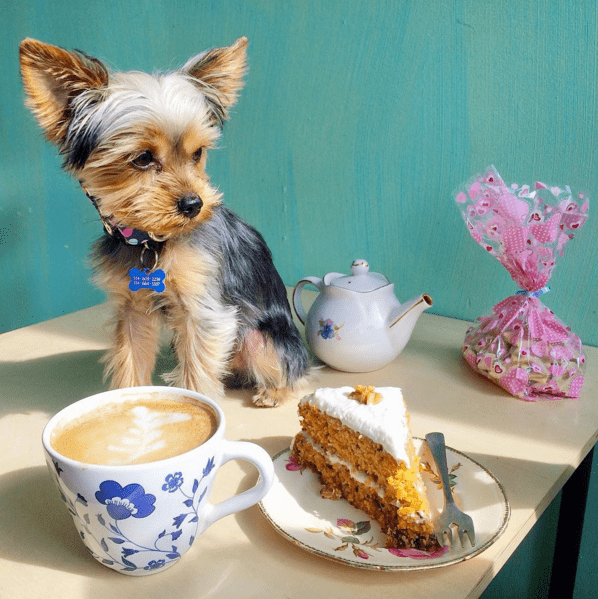 Screen Shot 2016-04-12 at 9.16.21 PM