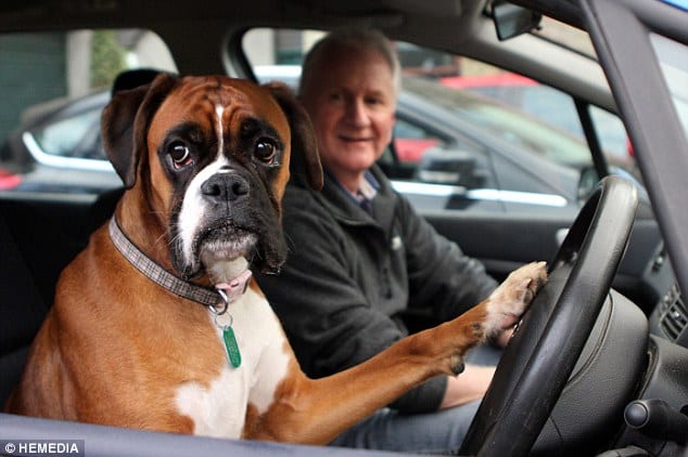 "You see that guy? No turn signal, what a freakin jerk"