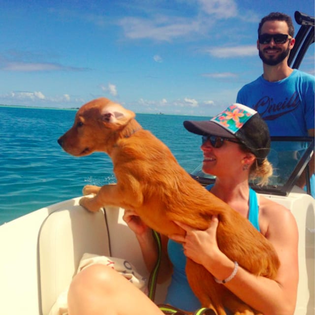 dog-on-boat