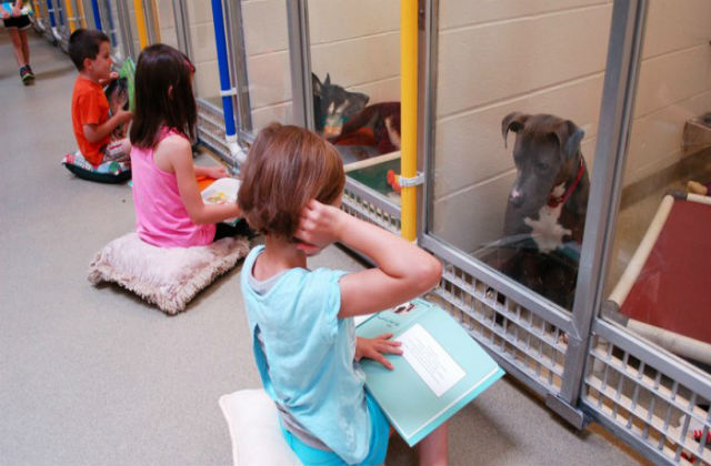 kids-read-shelter-dogs-human-society-of-missouri-3-700x394