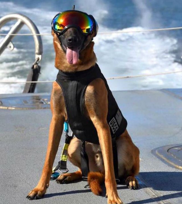 lookin cool