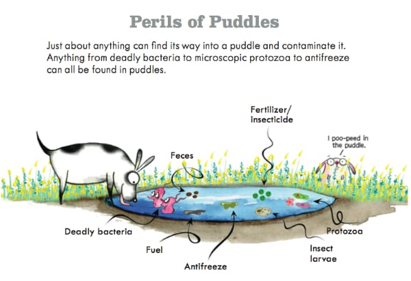 perils of puddles luwis