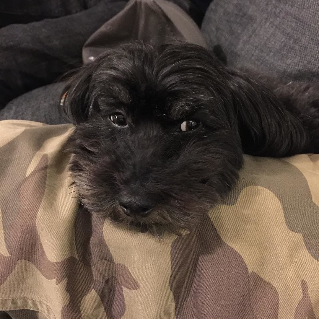 side-eye