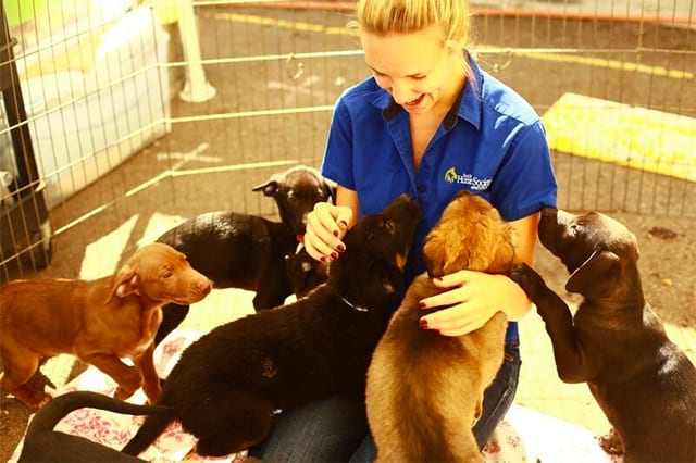 Shannon Kopp and Puppies