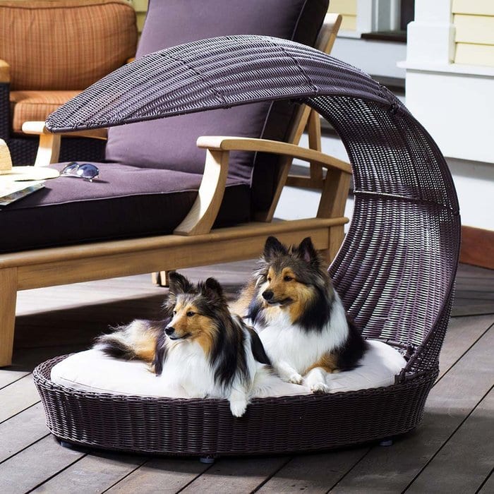 brookstone-outdoor-dog-lounger