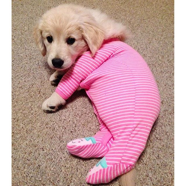 Pajama party for one, over here.