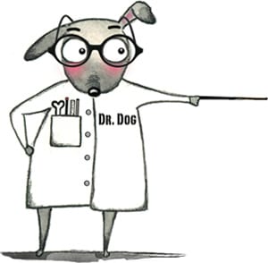 dr-dog-use-2-1