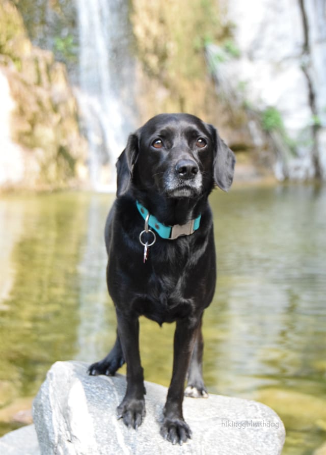 fish_canyon_falls_10
