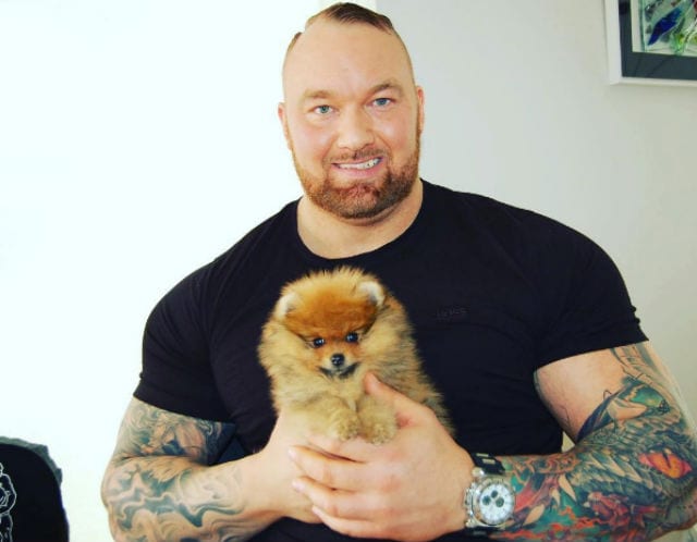mountain and his dog