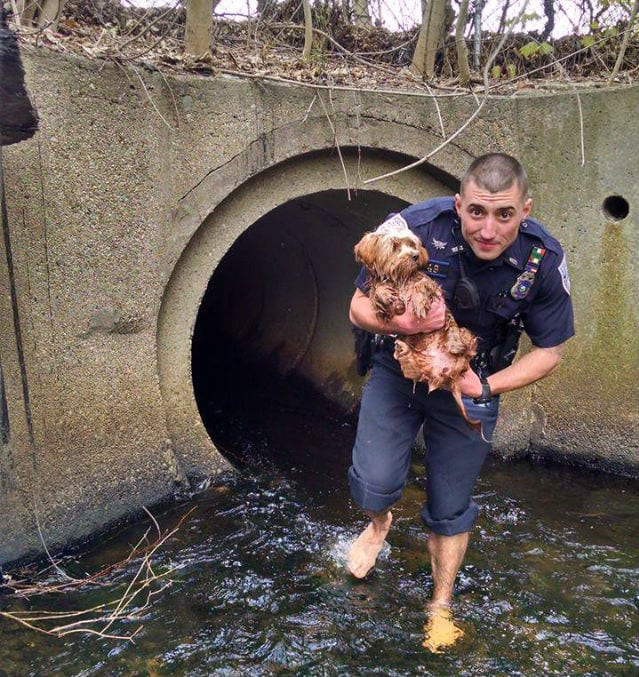 officer rescues pup
