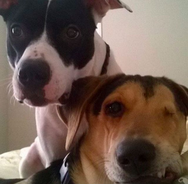 xena and friend