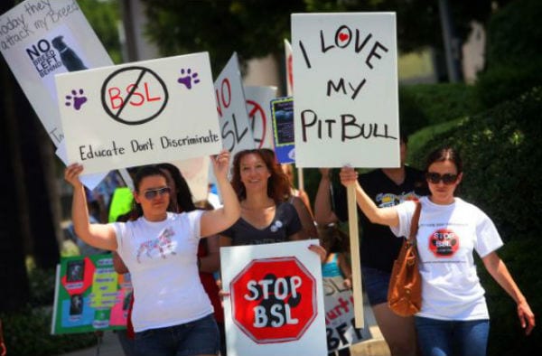 BSL protest