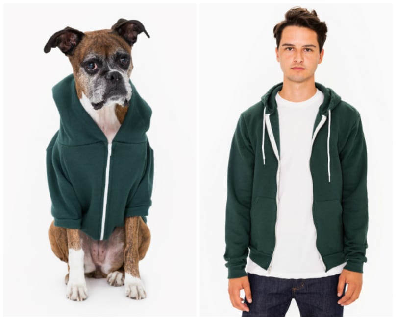 american-apparel-dog-hoodie