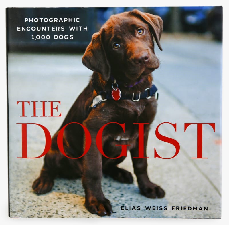 dogist book