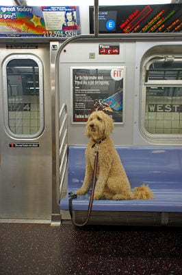 photo-new-york-city-subway-cc