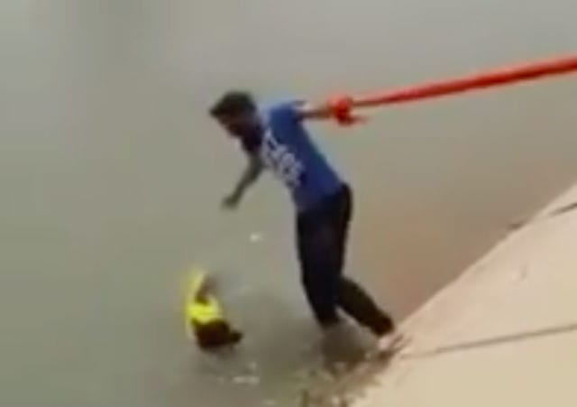 sikh man rescues dog