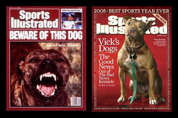 sports-illustrated-pitbulls