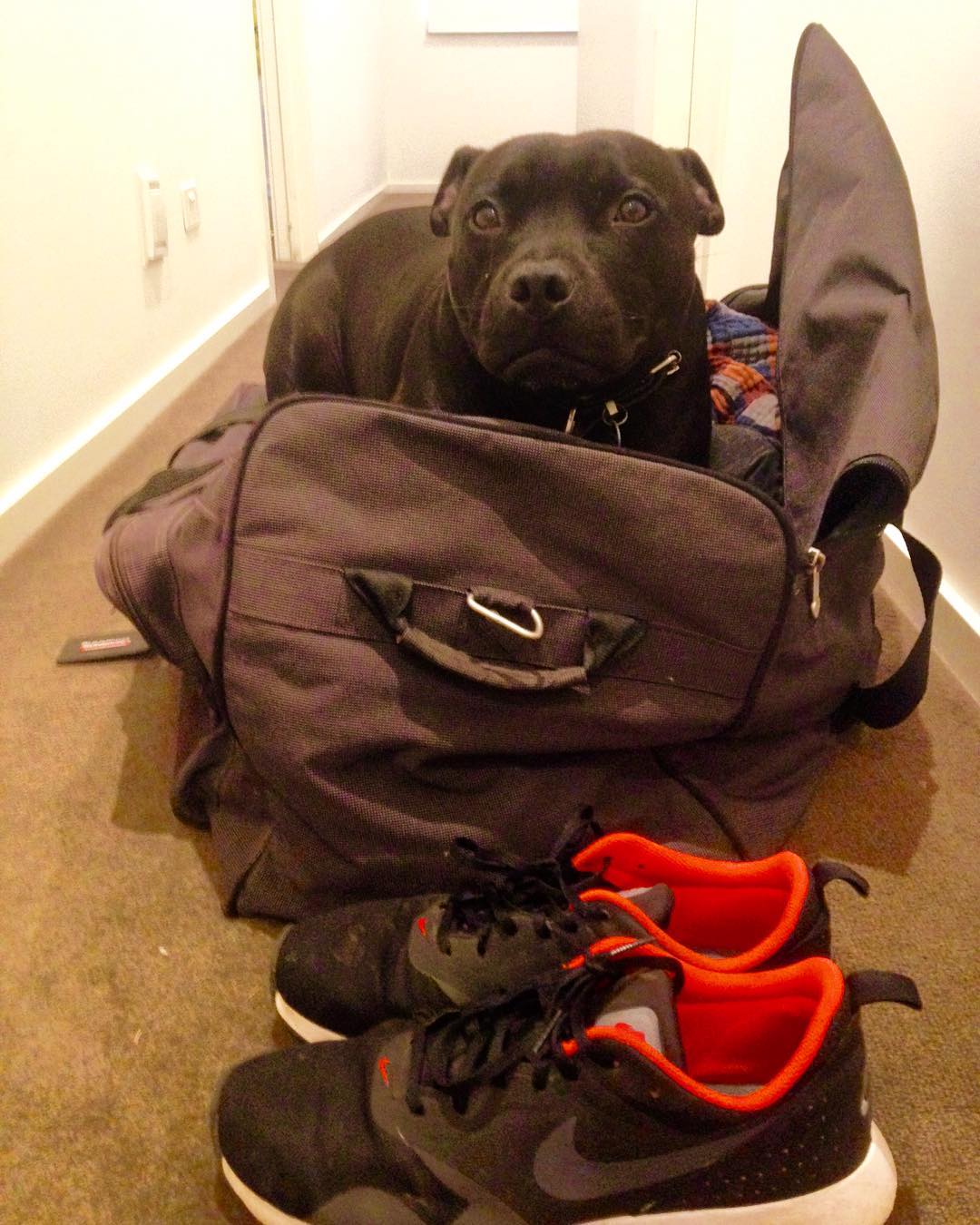 "I don't think I'm going to be able to come on the trip because I can't fit in this suitcase."