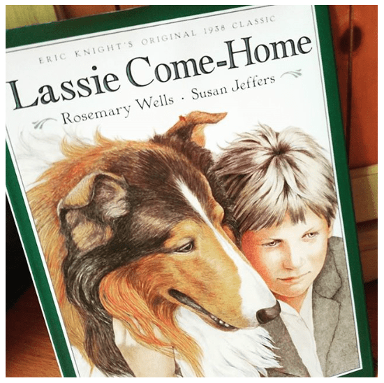 The Story Of Lassie  The Hollywood Collection 