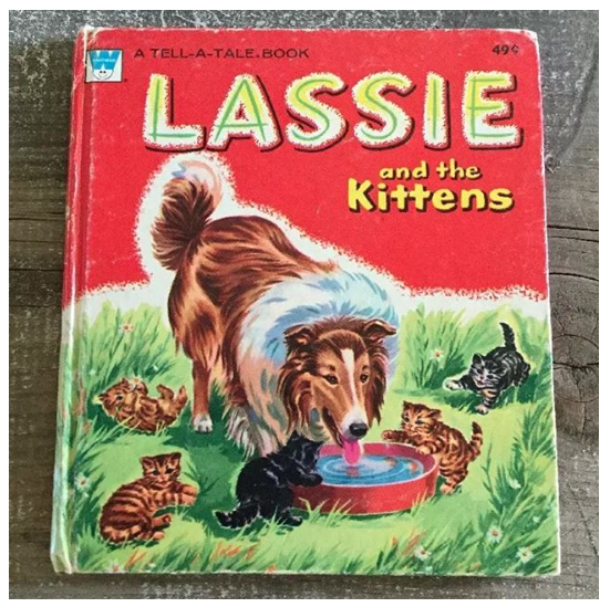 What Kind of Dog Is Lassie? The True Story