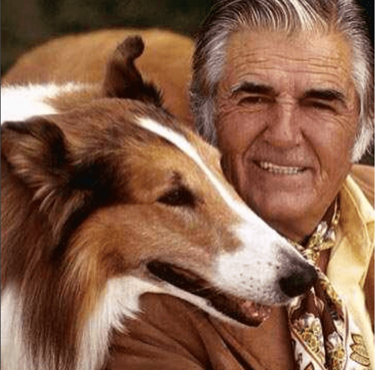 The Original 'Lassie' Dog, Pal, Lived to Be Almost 20 and Came to Set Even  After He Retired