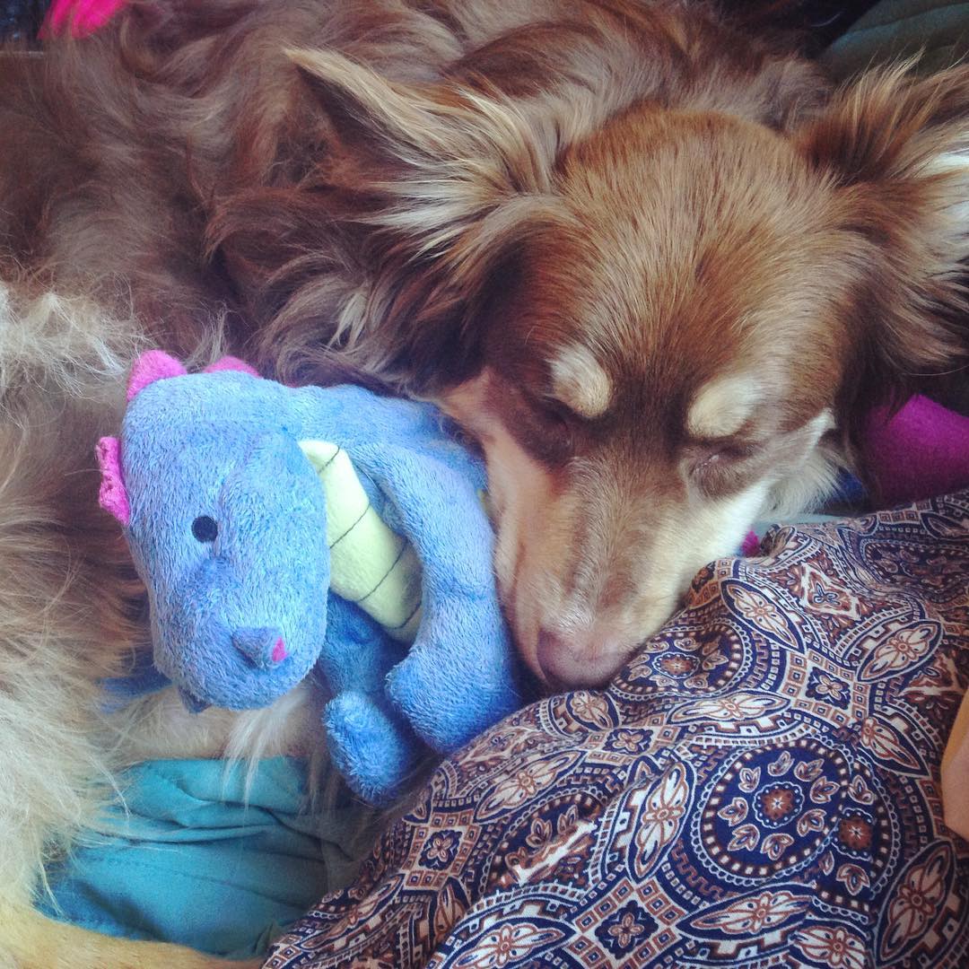 “Mommy says dinosaurs are extinct, but you’ll still be my cuddle buddy forever.” 