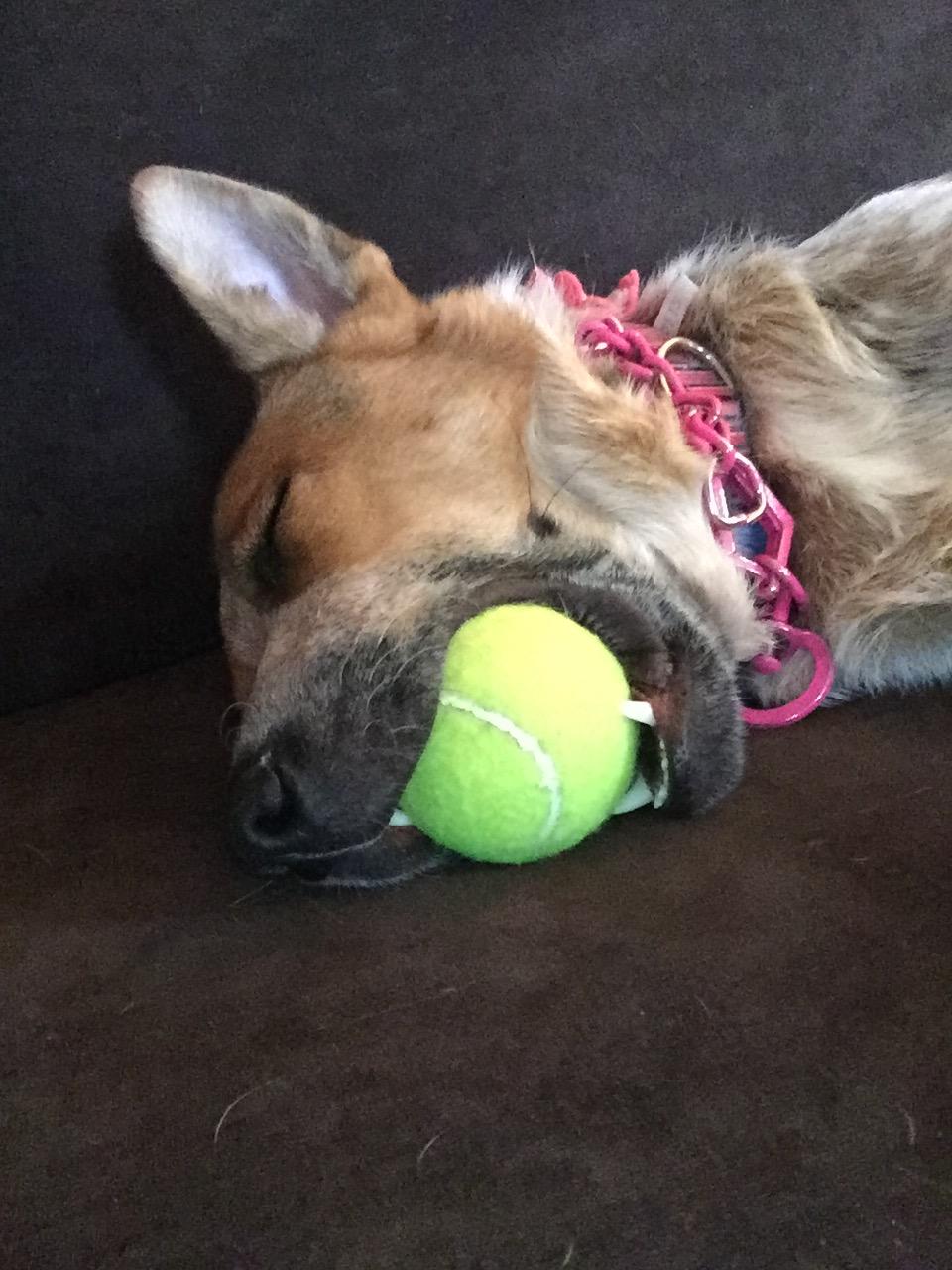 She’s a tennis champion… in her dreams! 