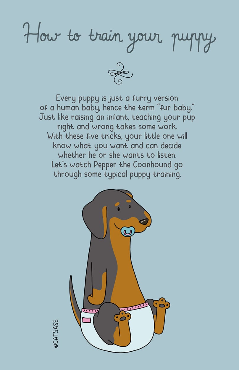 how-to-train-your-puppy-intro