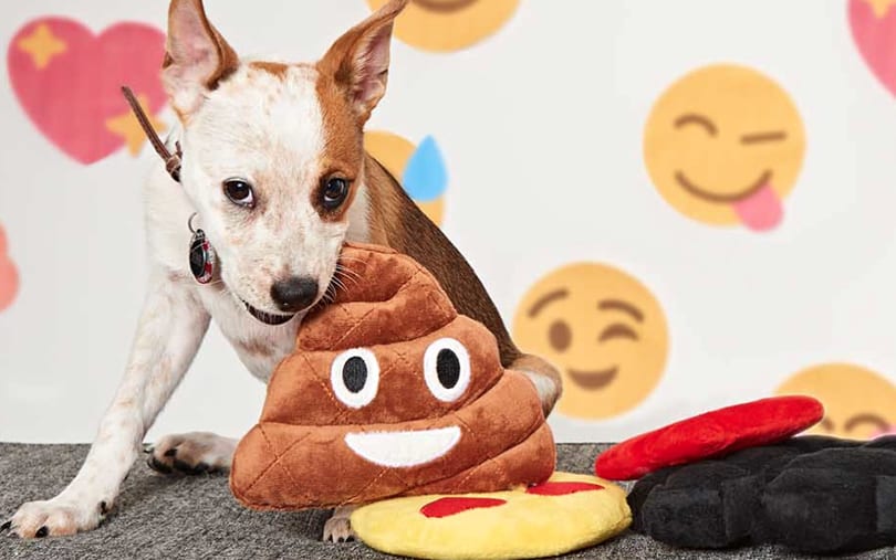 Emoji Dog Dogs