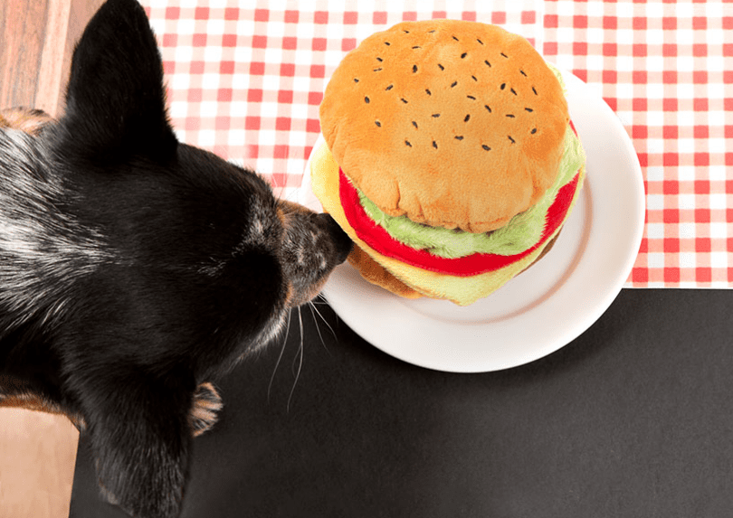 Plush Cheeseburger for Dogs