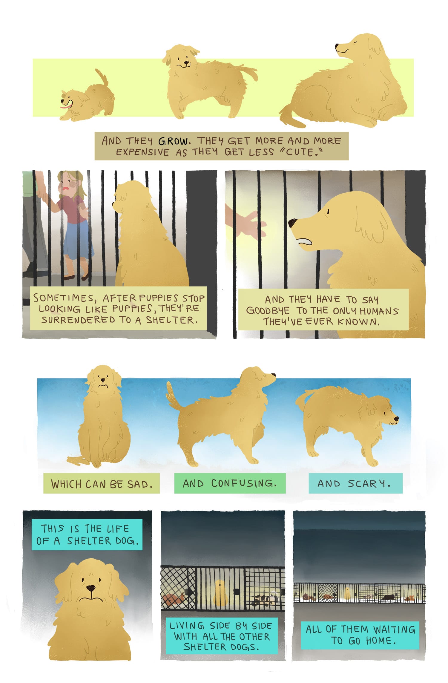 life-of-a-shelter-dog-page-2