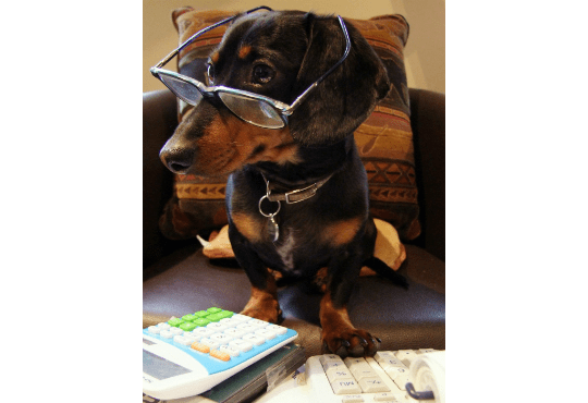 tax-crusoe-4