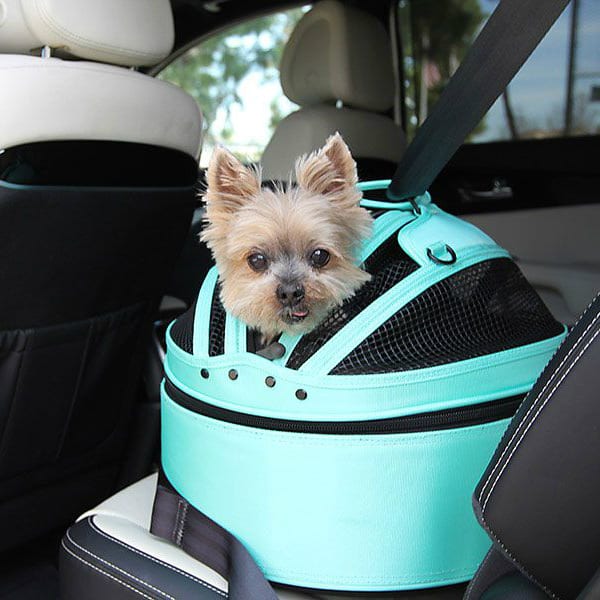 Great for: Traveling by Car With a Small Dog  Small dog accessories, Pet  carrier bag, Small dogs