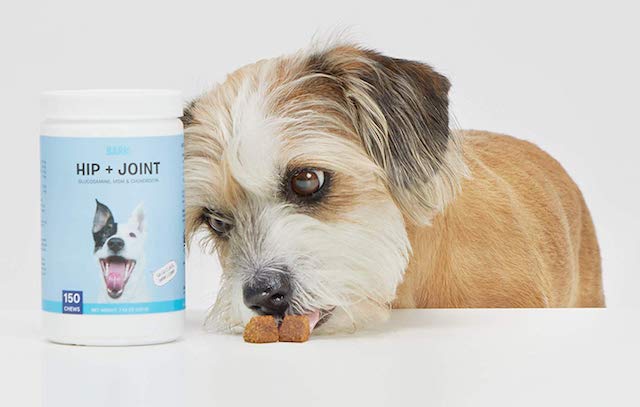 BarkBox Glucosamine Supplement for Dogs With Hip Dysplasia